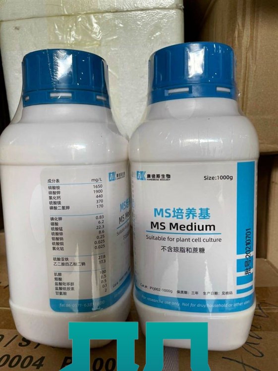 Môi trường MS hay còn gọi là Murashige and Skoog medium không đường + không agar