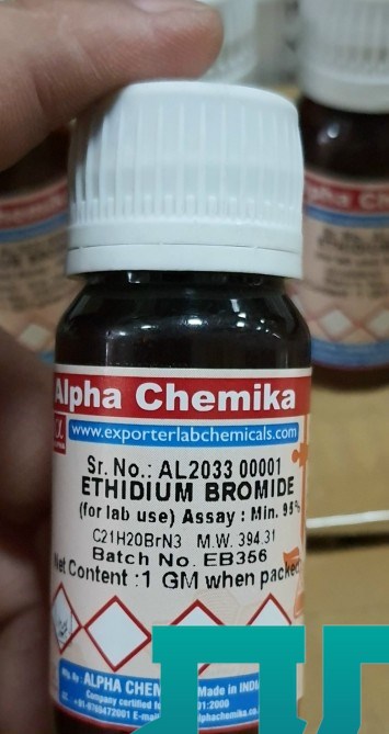 Ethidium bromide (EtBr) C21H20BrN3 Cas: 1239-45-8
