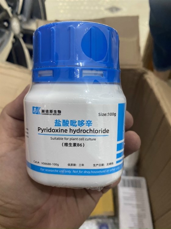 vitamin B6 pyridoxine hydrochloride