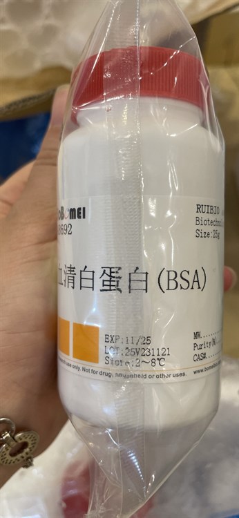 Hóa chất thí nghiệm BSA - Bovine albumin Cas: 9048-46-8, Lọ 25g